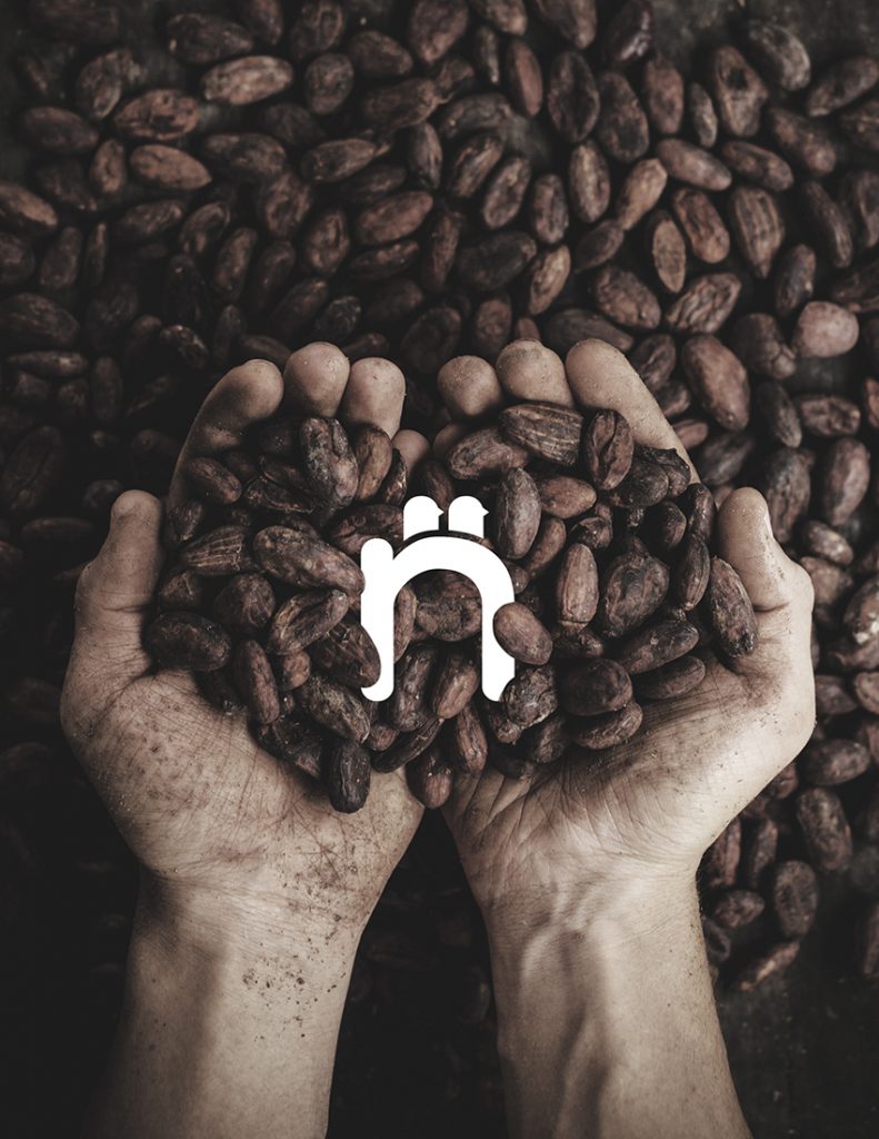Image of hands scooping up a pile of cocoa beans from a larger pile in the background. There is a logo nestled among the handful of beans.